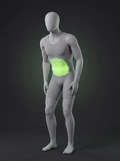 Stomach Vacuum