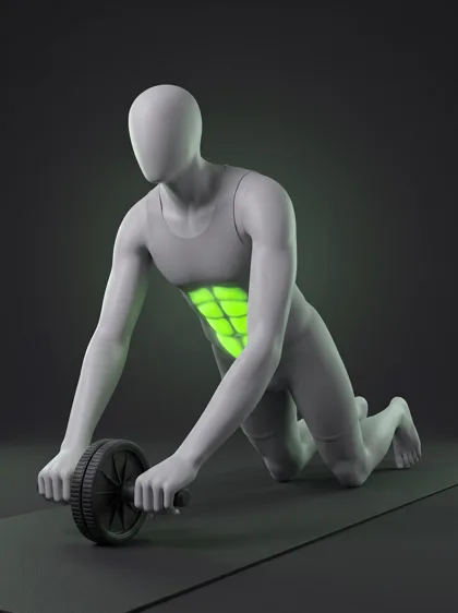 Ab Wheel Rollout