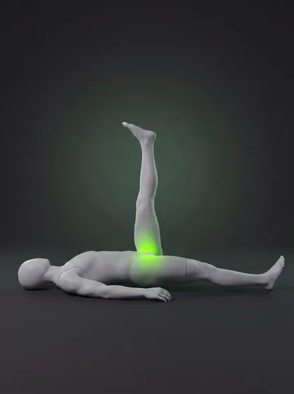Active Straight Leg Raise