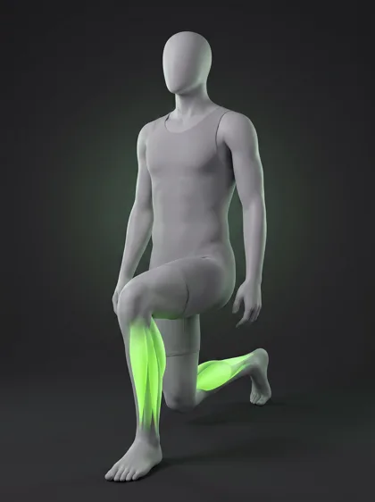 Ankle Dorsiflexion Mobilization