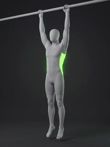 Archer Inverted Row