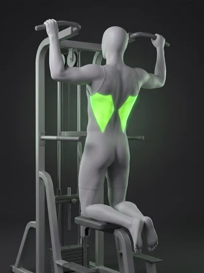 Assisted Pull-Up