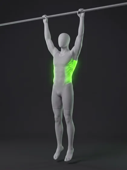 Back Lever Pull