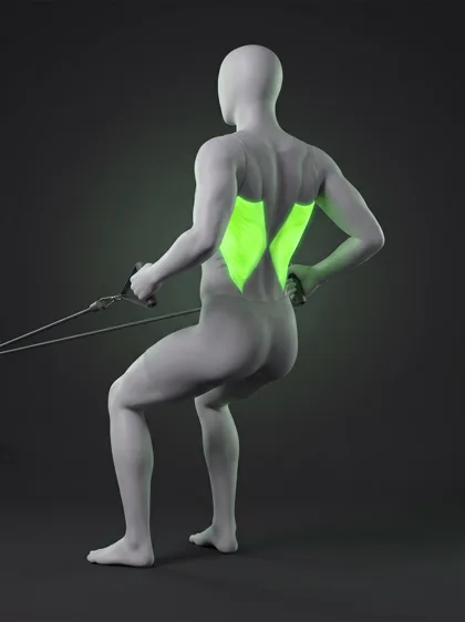Band Bent-Over Row