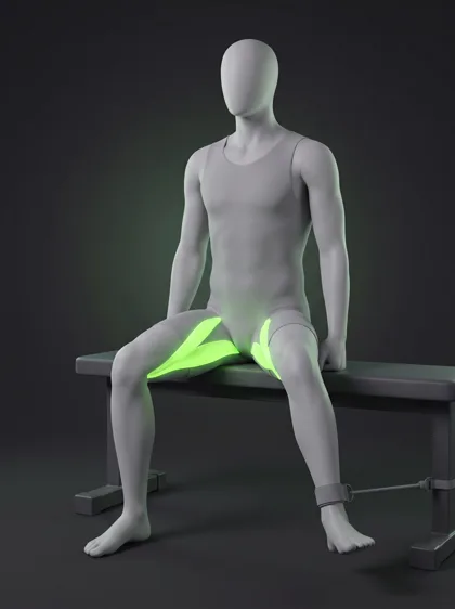 Seated Banded Hip Adduction