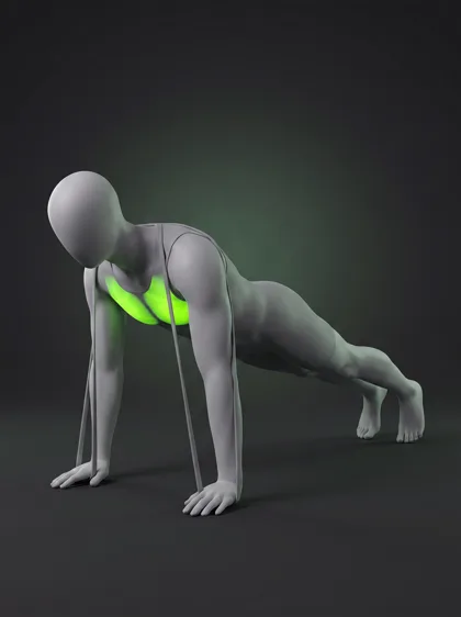Band-Resisted Push-Up