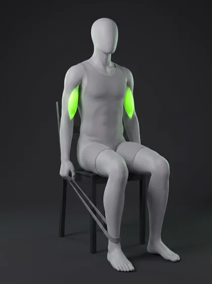 Seated Band Leg Curl