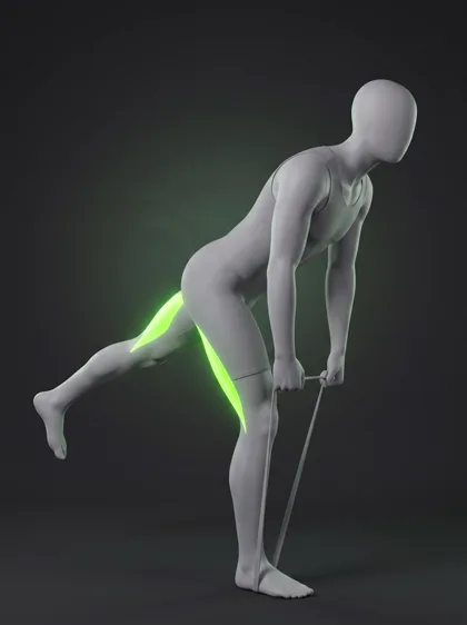 Banded Single-Leg Romanian Deadlift