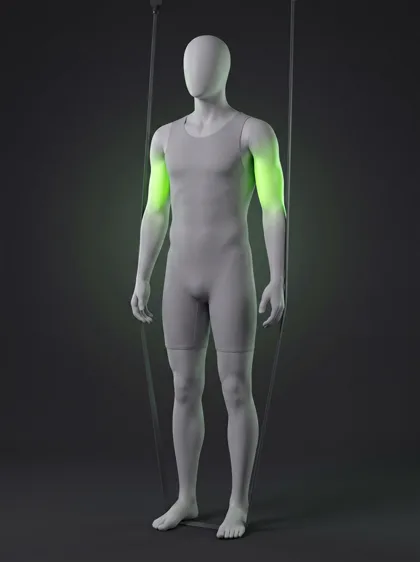 Band Triceps Extension
