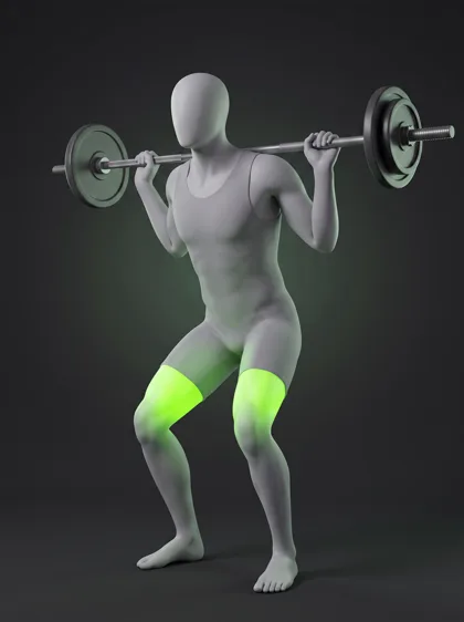 Barbell Back Squat