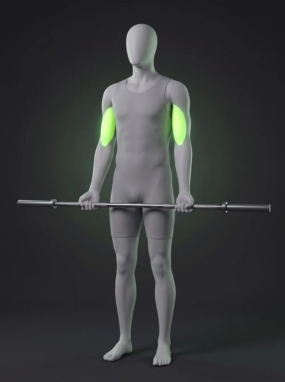 Standing Barbell Curl