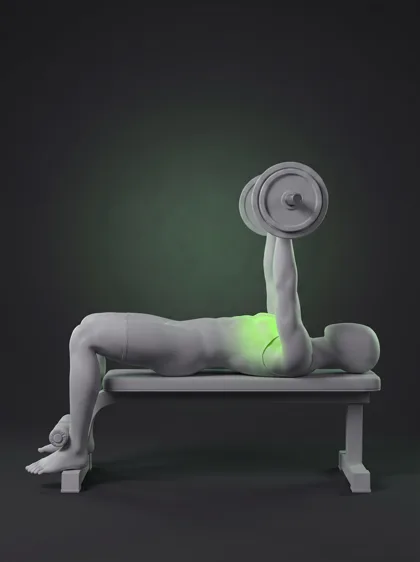 Decline Barbell Bench Press