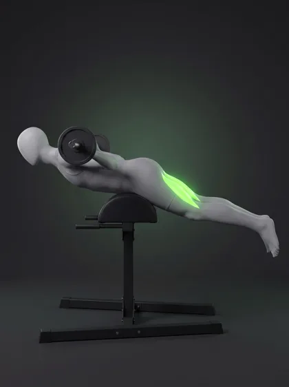 Barbell Glute-Ham Raise