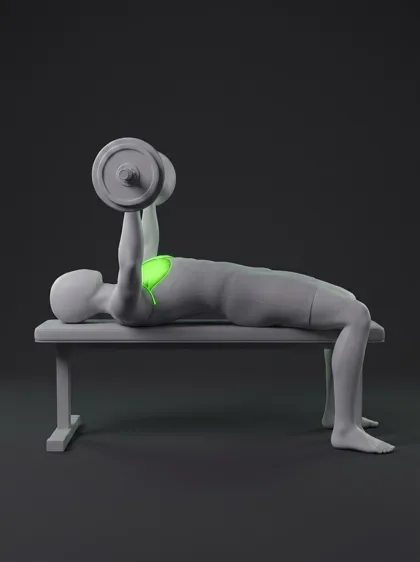Barbell Pullover