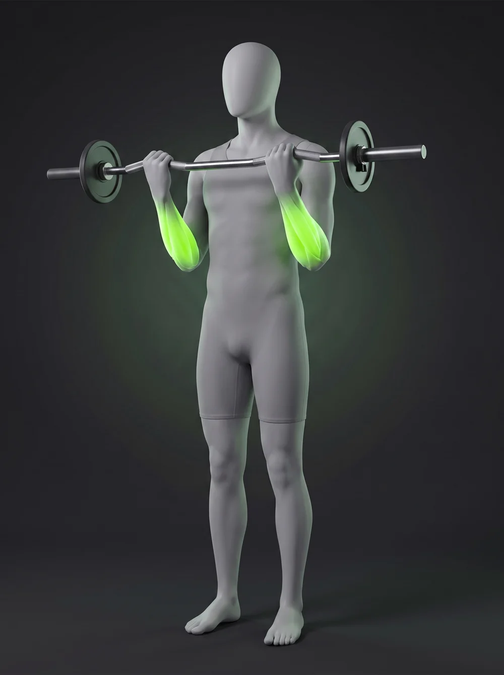 Barbell Reverse Curl