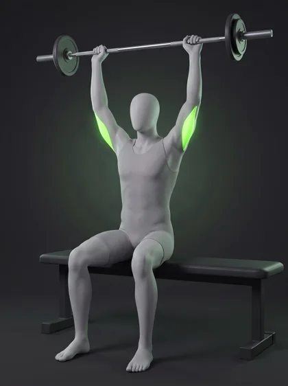 Seated Overhead Barbell Triceps Extension
