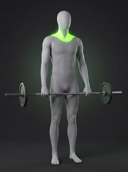 Barbell Shrug