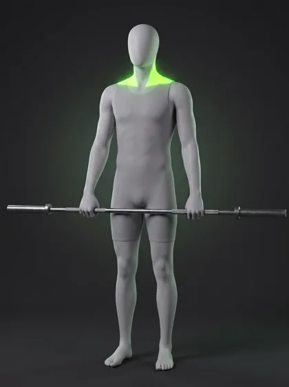 Standing Barbell Shrug
