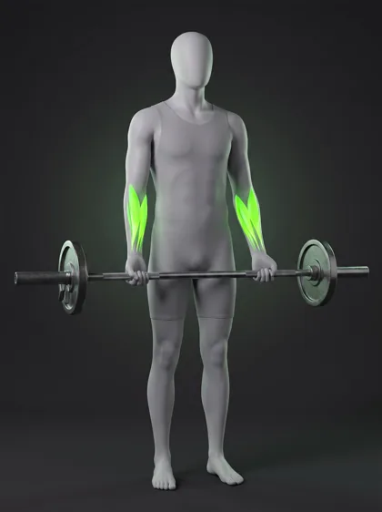 Barbell Hold