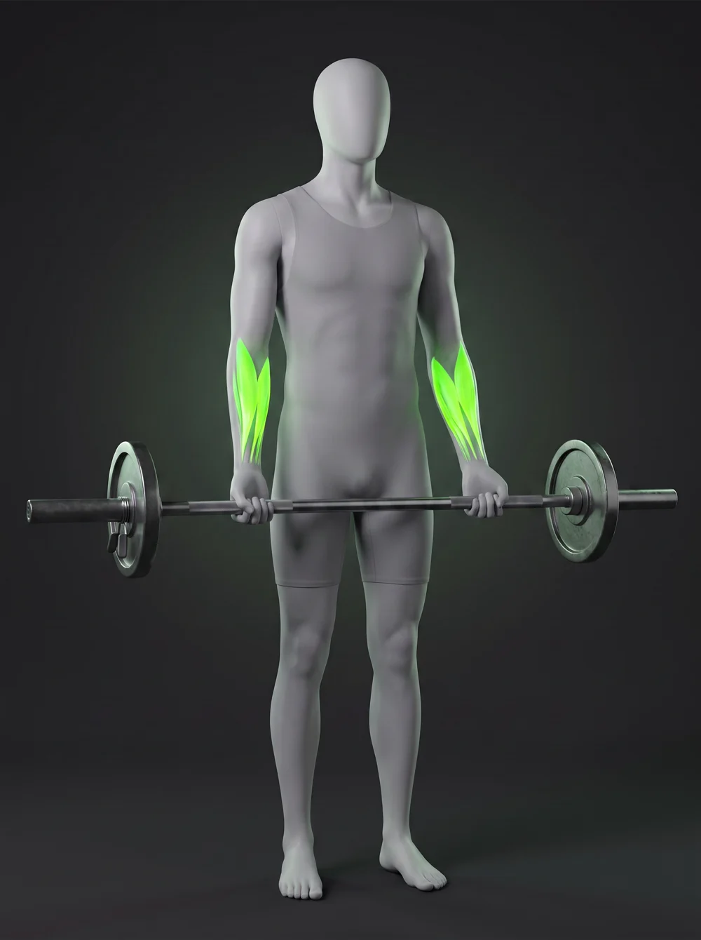 Barbell Hold
