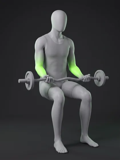 Barbell Wrist Curl