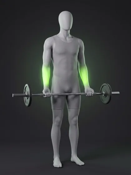 Behind-the-Back Barbell Wrist Curl