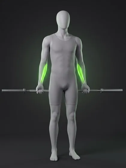 Behind-the-Back Wrist Curl