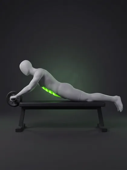 Bench Ab Rollout