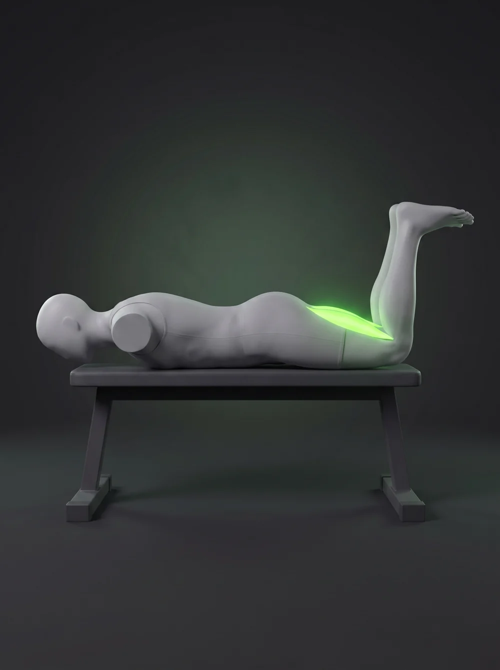 Bodyweight Bench Leg Curl