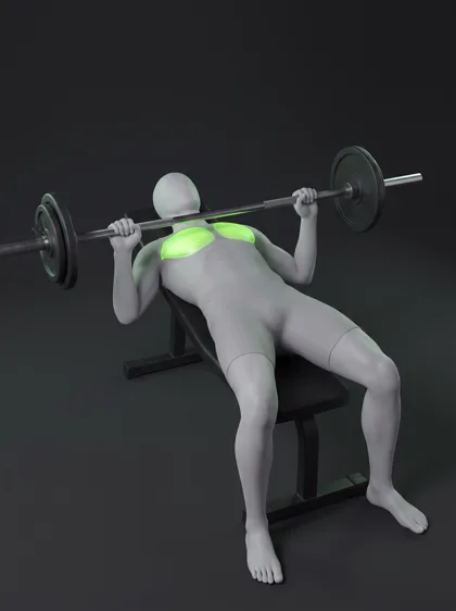 Bench Press
