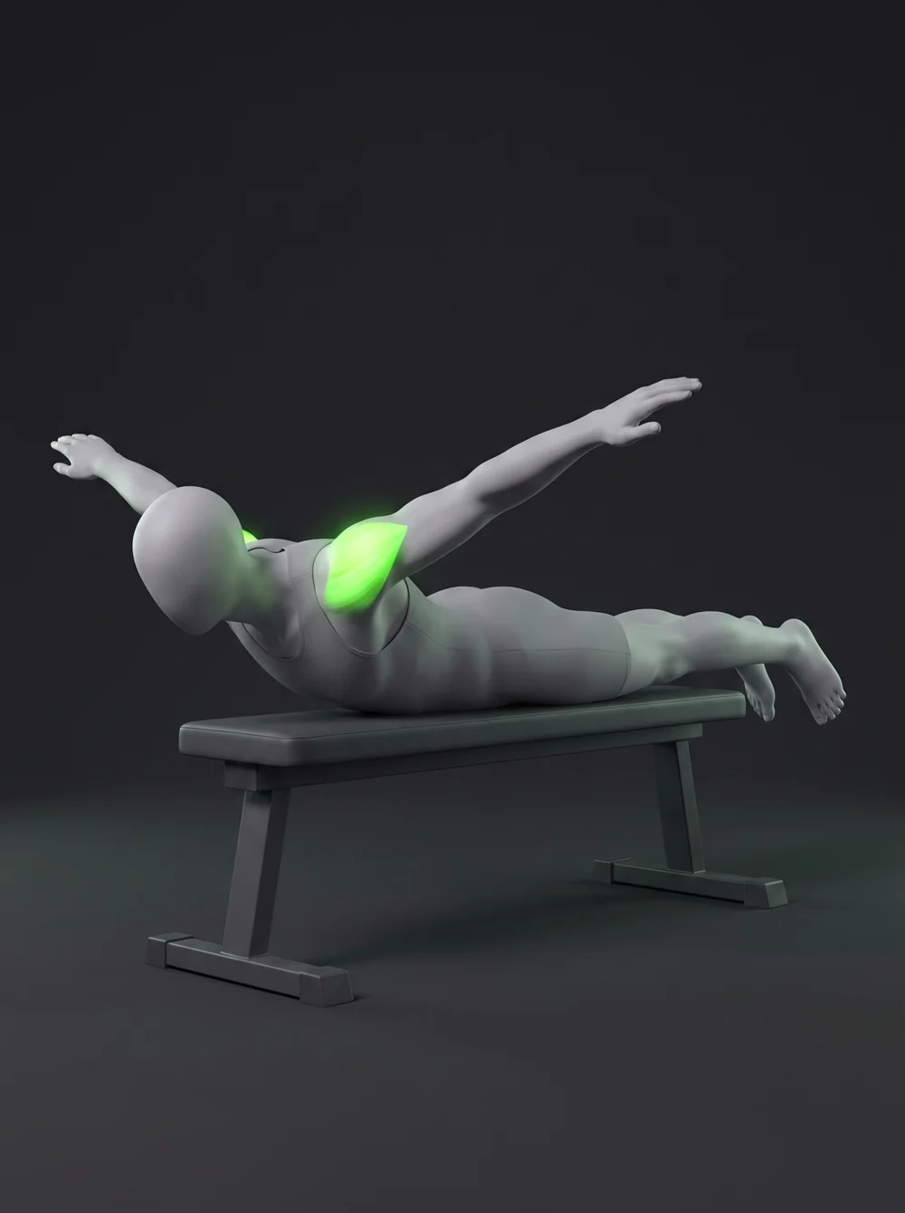 Prone Bench T-Raise