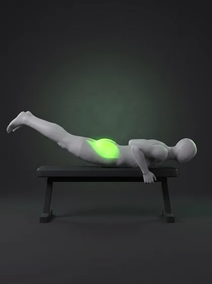 Bench Reverse Hyperextension