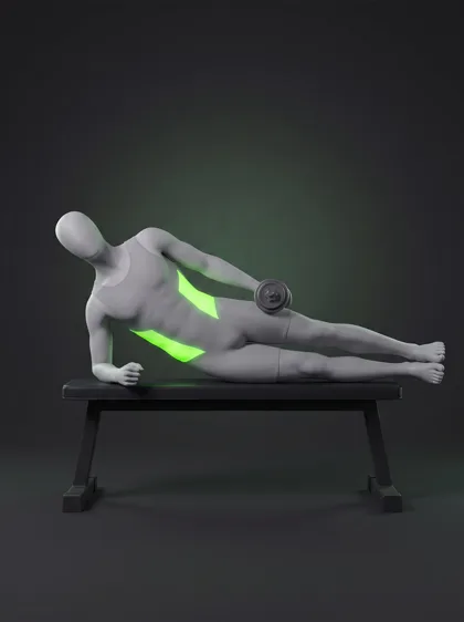 Bench-Supported Dumbbell Side Bend