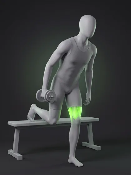 Single-Leg RDL with Bench Support
