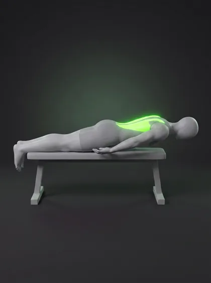Bench Back Extension