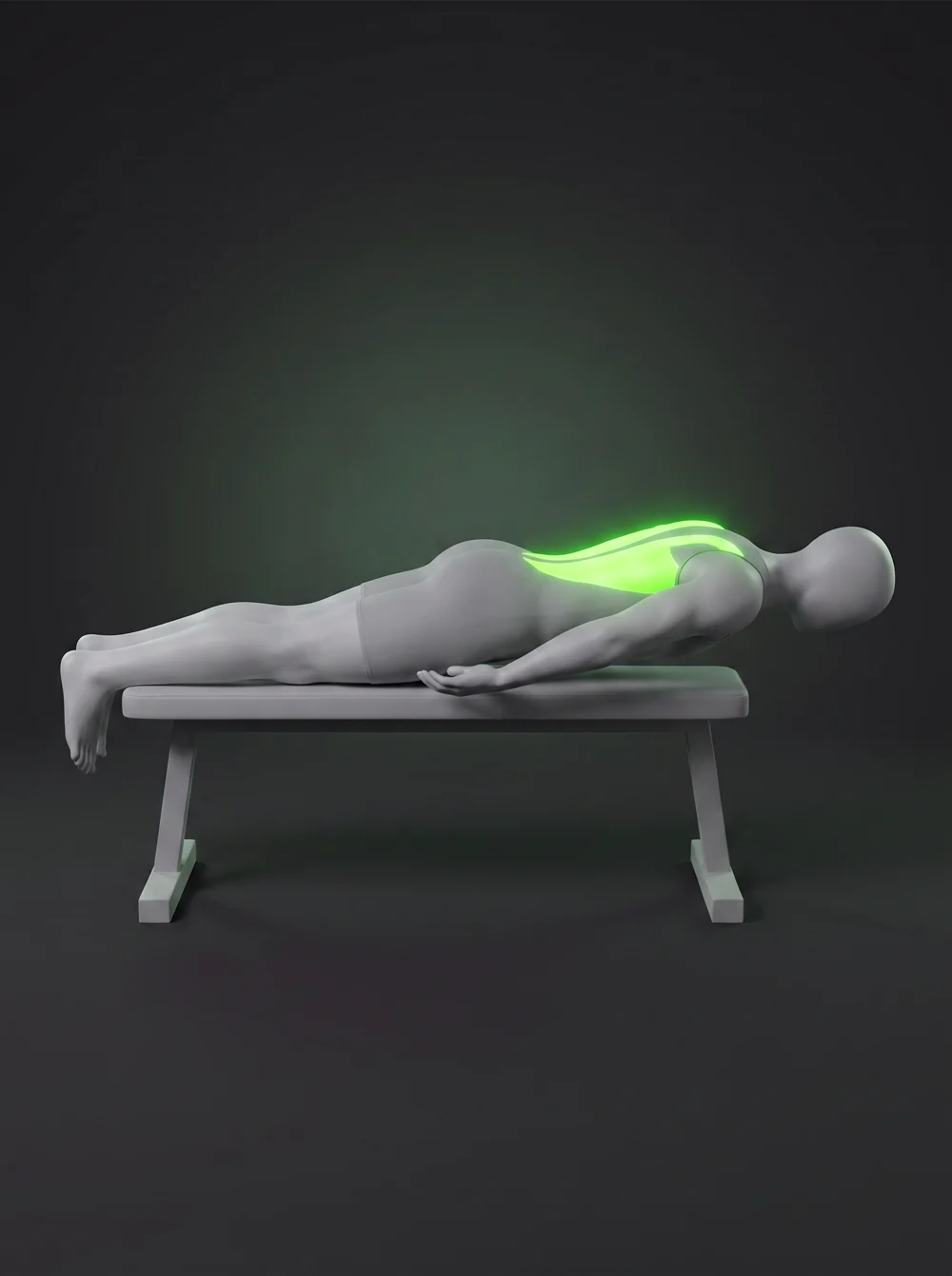 Bench Back Extension