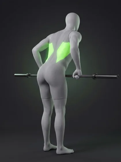 Bent-Over Barbell Row