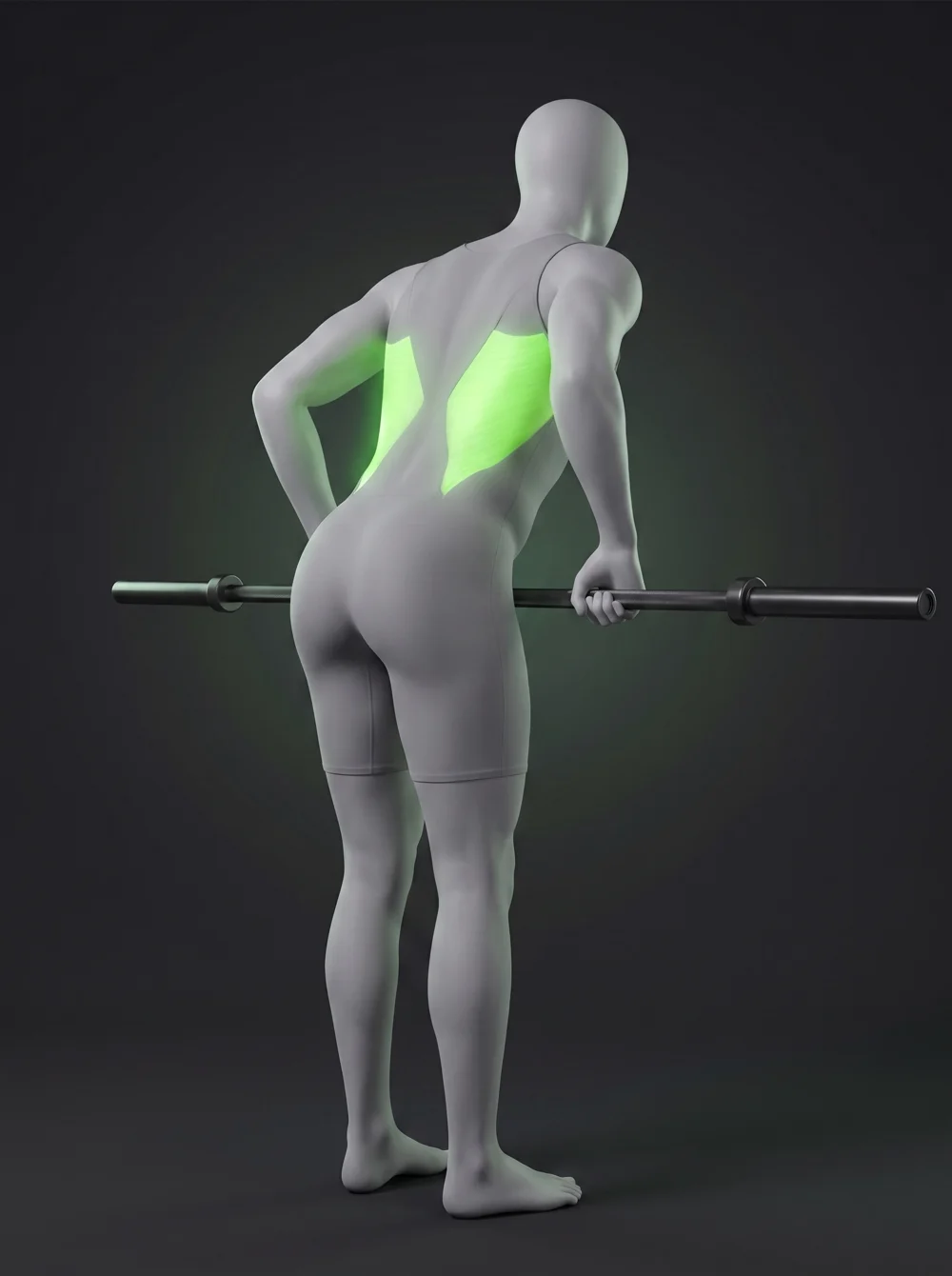 Bent-Over Barbell Row