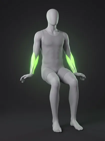 Bodyweight Wrist Flexion and Extension