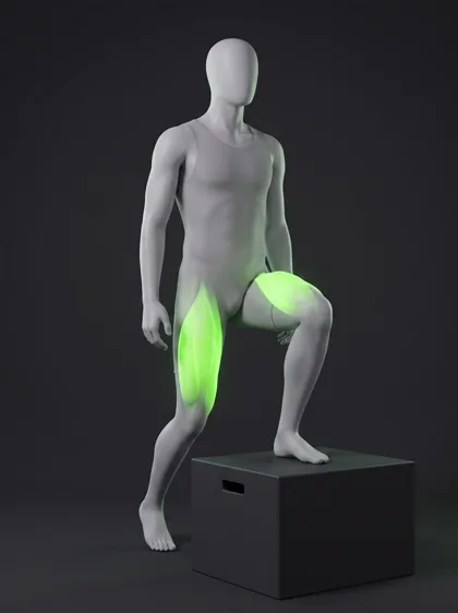Box Step-Up