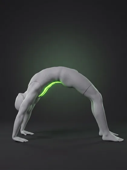 Gymnastic Bridge