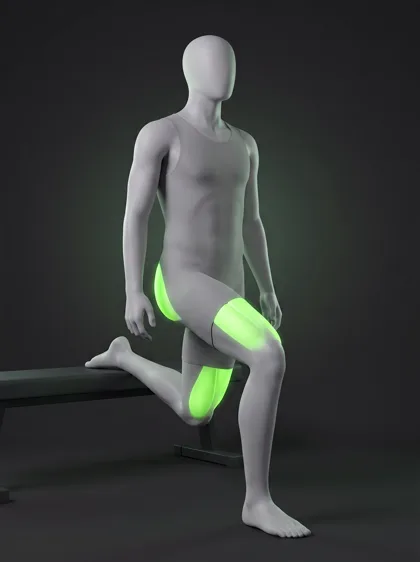 Bulgarian Split Squat