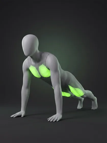 Burpee