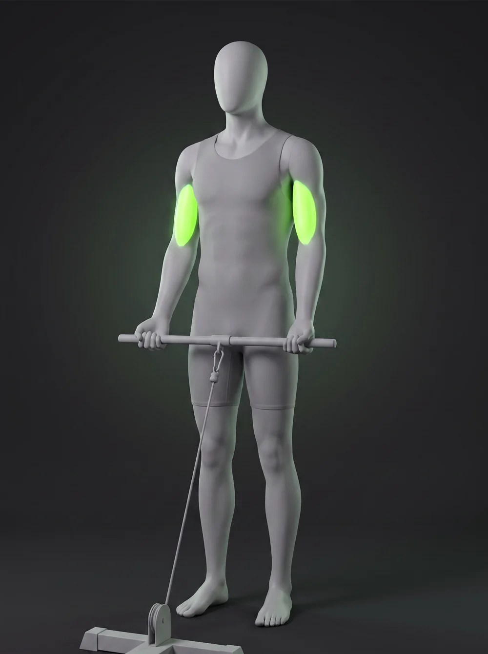 Cable Biceps Curl