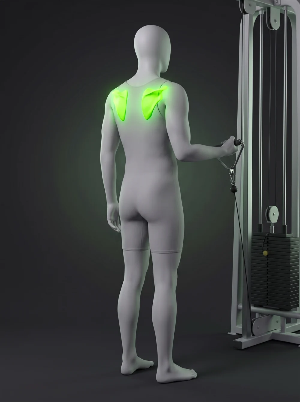 Cable External Rotation