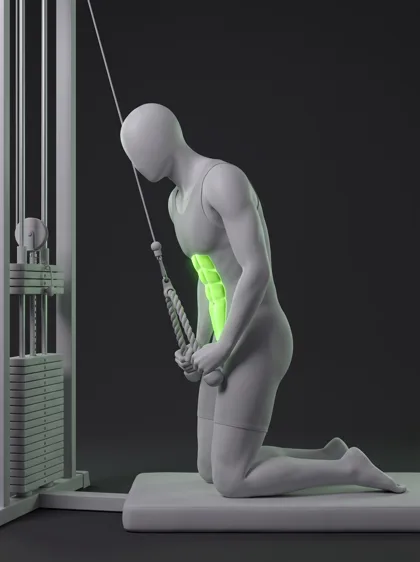 Cable Kneeling Reverse Crunch