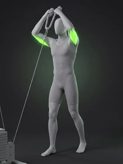 Cable Overhead Triceps Extension