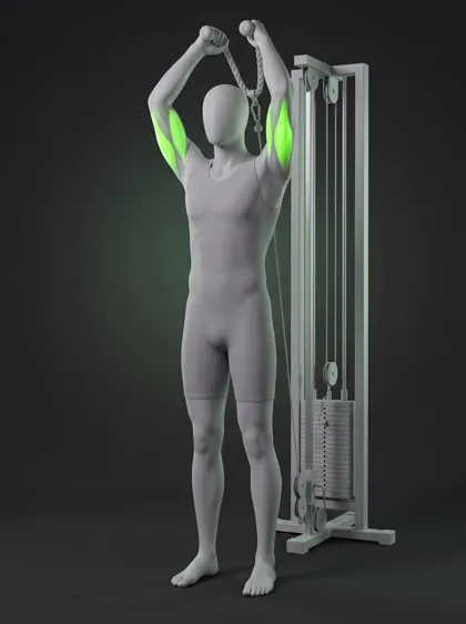 Cable Overhead Rope Triceps Extension