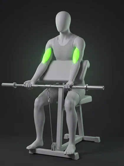 Cable Preacher Curl