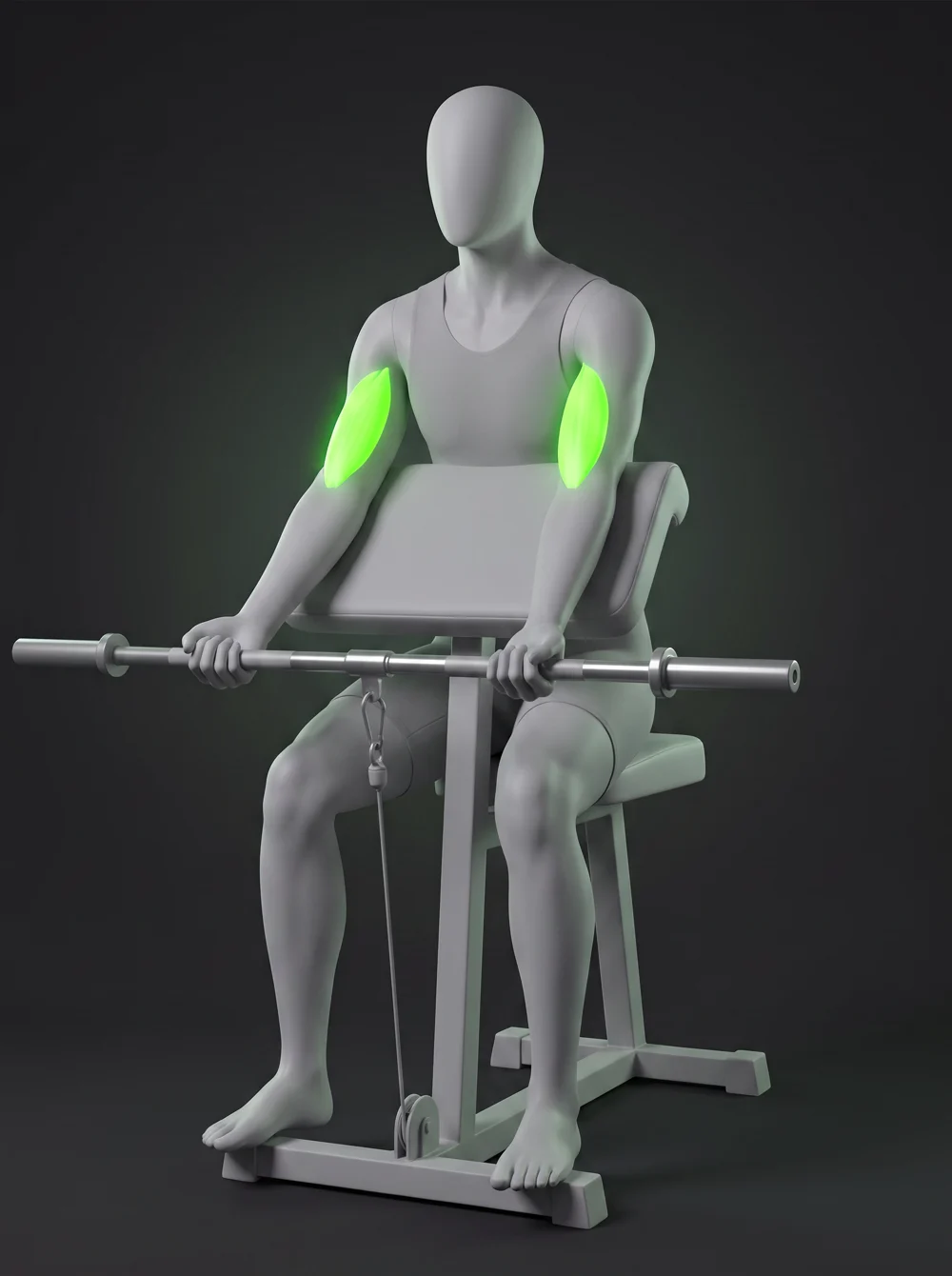 Cable Preacher Curl